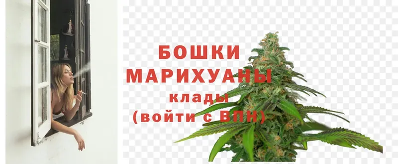 omg рабочий сайт  Бор  Марихуана SATIVA & INDICA 